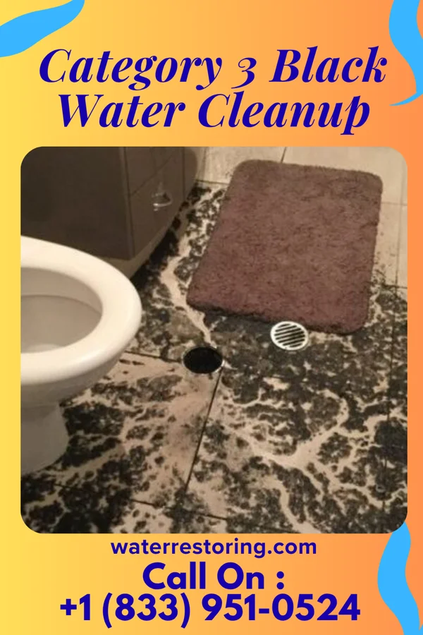 Category 3 Black Water Cleanup in Peck, MI