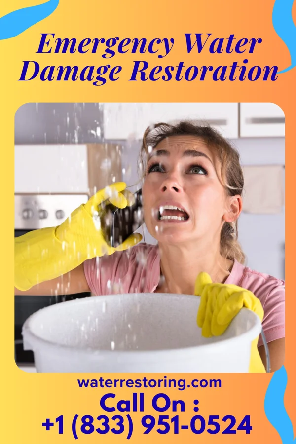 Emergency Water Damage Restoration in Peck, MI