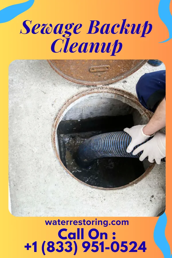 Sewage Backup Cleanup in Peck, MI